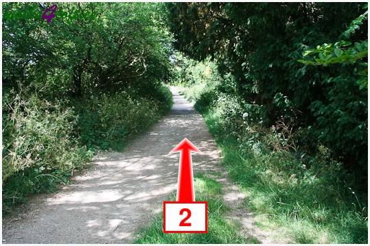 Walk direction photograph: 2 for walk Parnholt Wood and Beacon Hill, Farley Mount, Hampshire, South and South East England.