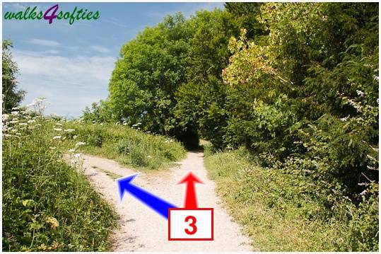 Walking direction photo: 3 for walk Parnholt Wood and Beacon Hill, Farley Mount, Hampshire.