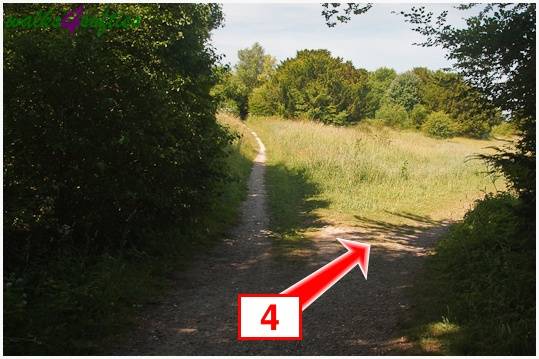 Walk direction photograph: 4 for walk Parnholt Wood and Beacon Hill, Farley Mount, Hampshire, South and South East England.