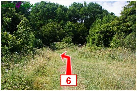 Walk direction photograph: 6 for walk Parnholt Wood and Beacon Hill, Farley Mount, Hampshire, South and South East England.