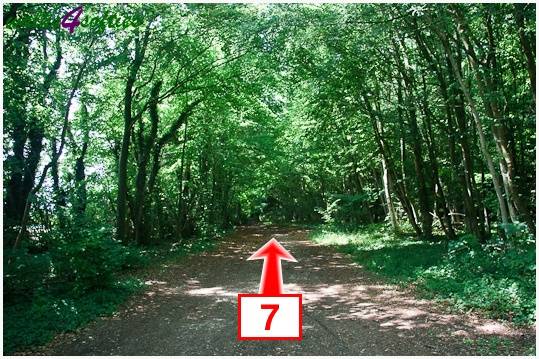 Walking direction photo: 7 for walk Parnholt Wood and Beacon Hill, Farley Mount, Hampshire.