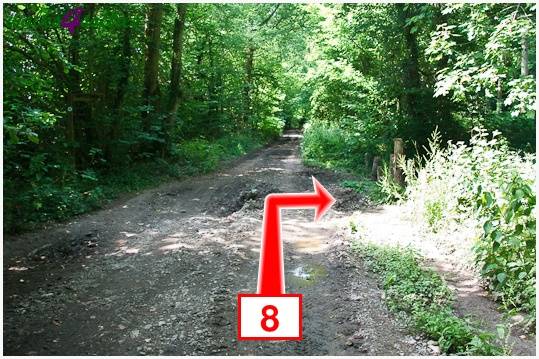 Walk direction photograph: 8 for walk Parnholt Wood and Beacon Hill, Farley Mount, Hampshire, South and South East England.