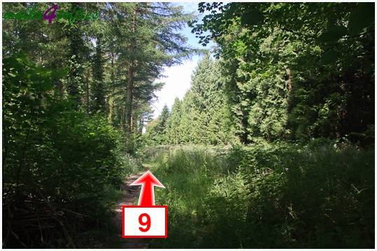 Walking direction photo: 9 for walk Parnholt Wood and Beacon Hill, Farley Mount, Hampshire.