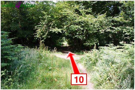 Walk direction photograph: 10 for walk Parnholt Wood and Beacon Hill, Farley Mount, Hampshire, South and South East England.