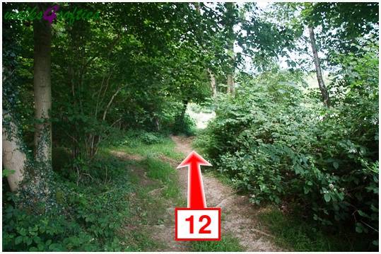 Walk direction photograph: 12 for walk Parnholt Wood and Beacon Hill, Farley Mount, Hampshire, South and South East England.