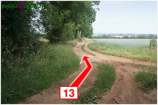 Walking direction photo: 13 for walk Parnholt Wood and Beacon Hill, Farley Mount, Hampshire.