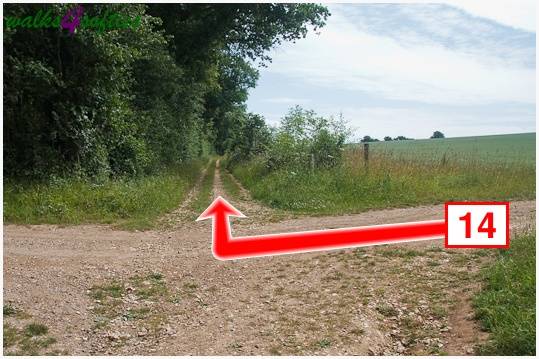 Walk direction photograph: 14 for walk Parnholt Wood and Beacon Hill, Farley Mount, Hampshire, South and South East England.