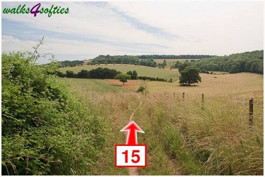 Walking direction photo: 15 for walk Parnholt Wood and Beacon Hill, Farley Mount, Hampshire.