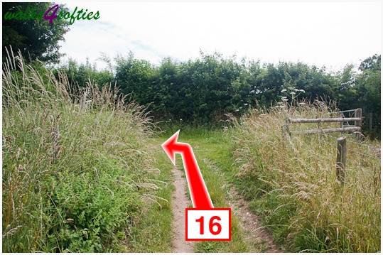 Walk direction photograph: 16 for walk Parnholt Wood and Beacon Hill, Farley Mount, Hampshire, South and South East England.