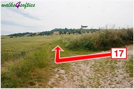 Walking direction photo: 17 for walk Parnholt Wood and Beacon Hill, Farley Mount, Hampshire.