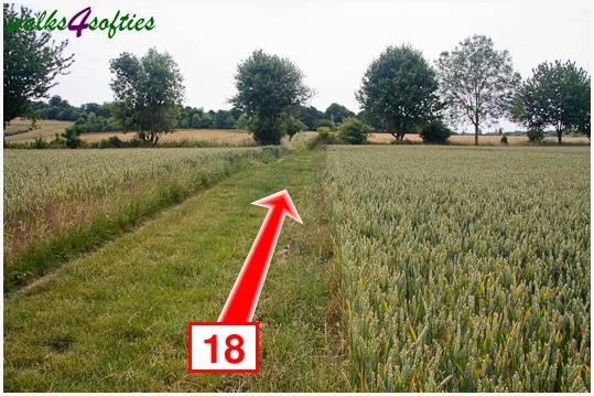 Walk direction photograph: 18 for walk Parnholt Wood and Beacon Hill, Farley Mount, Hampshire, South and South East England.