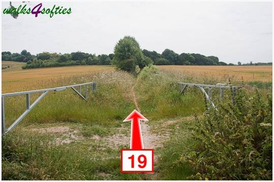 Walking direction photo: 19 for walk Parnholt Wood and Beacon Hill, Farley Mount, Hampshire.