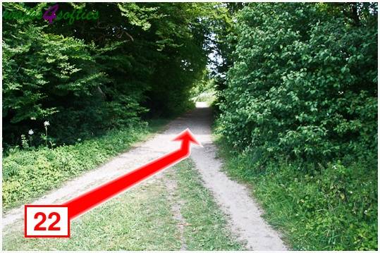 Walk direction photograph: 22 for walk Parnholt Wood and Beacon Hill, Farley Mount, Hampshire, South and South East England.