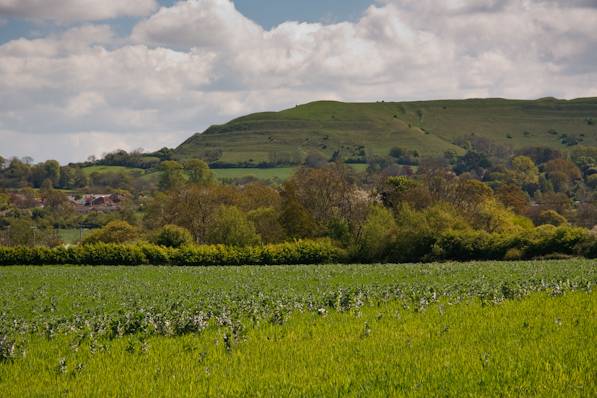 Picture, Photo, View of Fiddleford Manor, Dorset