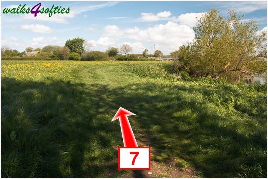 Walking direction photo: 7 for walk The Trailway, Fiddleford Manor, Dorset.