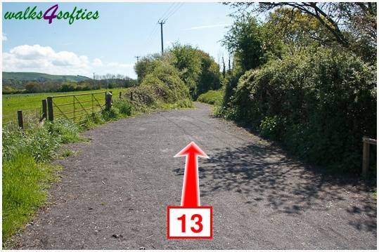 Walking direction photo: 13 for walk The Trailway, Fiddleford Manor, Dorset.