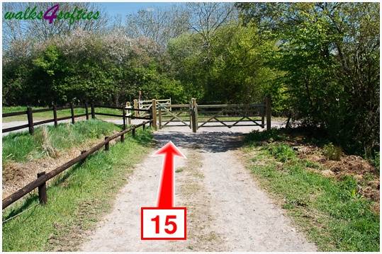 Walking direction photo: 15 for walk The Trailway, Fiddleford Manor, Dorset.