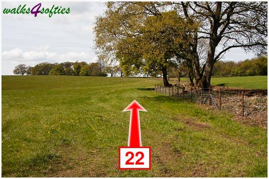 Walk direction photograph: 22 for walk The Trailway, Fiddleford Manor, Dorset, South West England.