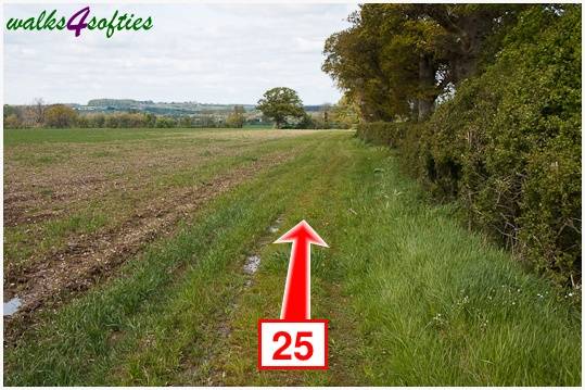 Walking direction photo: 25 for walk The Trailway, Fiddleford Manor, Dorset.