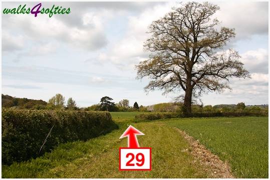 Walking direction photo: 29 for walk The Trailway, Fiddleford Manor, Dorset.