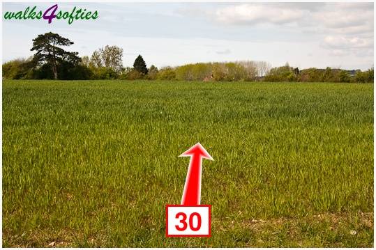 Walk direction photograph: 30 for walk The Trailway, Fiddleford Manor, Dorset, South West England.