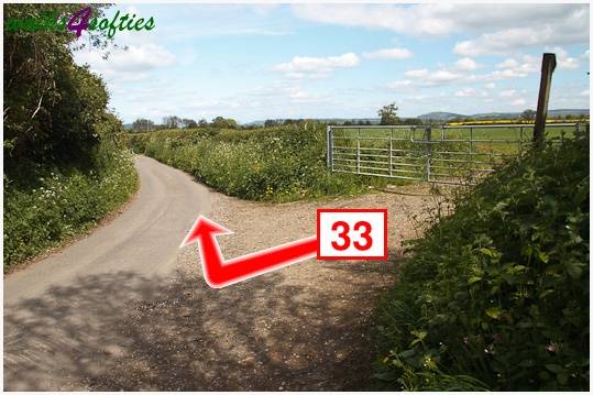 Walking direction photo: 33 for walk The Trailway, Fiddleford Manor, Dorset.