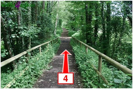 Walk direction photograph: 4 for walk King's Somborne, Horsebridge, Hampshire, South and South East England.