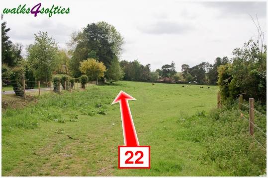 Walk direction photograph: 22 for walk King's Somborne, Horsebridge, Hampshire, South and South East England.