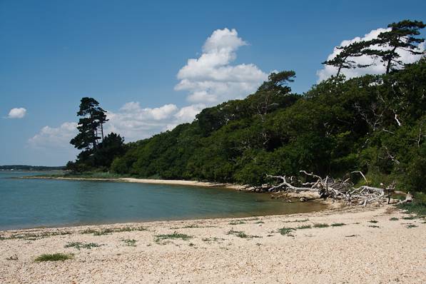 Picture, Photo, View of Lepe Country Park, Hampshire