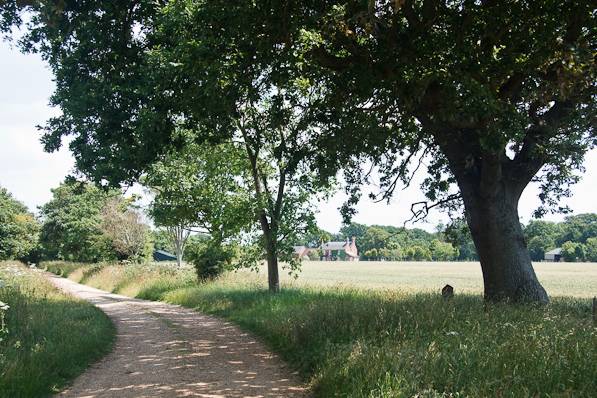 Picture, Photo, View of Lepe Country Park, Hampshire