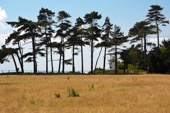 Picture, Photo, View of Lepe Country Park, Hampshire