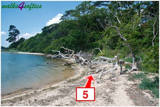 Walking direction photo: 5 for walk The Leep Loop, Lepe Country Park, Hampshire.