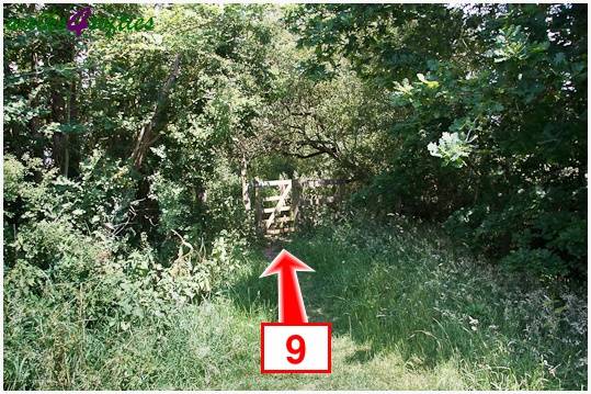 Walking direction photo: 9 for walk The Leep Loop, Lepe Country Park, Hampshire.