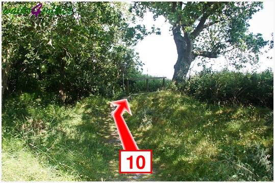 Walk direction photograph: 10 for walk The Leep Loop, Lepe Country Park, Hampshire, South and South East England.