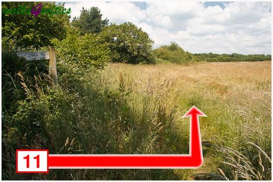 Walking direction photo: 11 for walk The Leep Loop, Lepe Country Park, Hampshire.