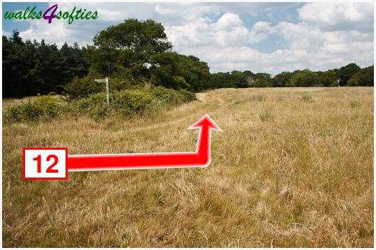 Walk direction photograph: 12 for walk The Leep Loop, Lepe Country Park, Hampshire, South and South East England.