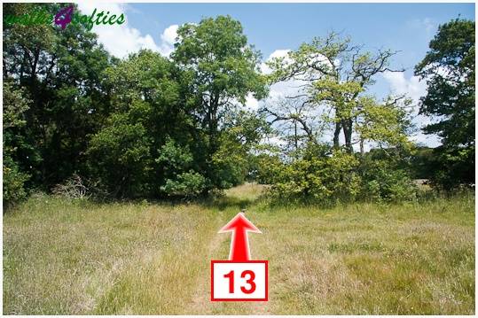 Walking direction photo: 13 for walk The Leep Loop, Lepe Country Park, Hampshire.