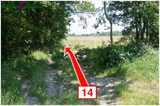 Walk direction photograph: 14 for walk The Leep Loop, Lepe Country Park, Hampshire, South and South East England.