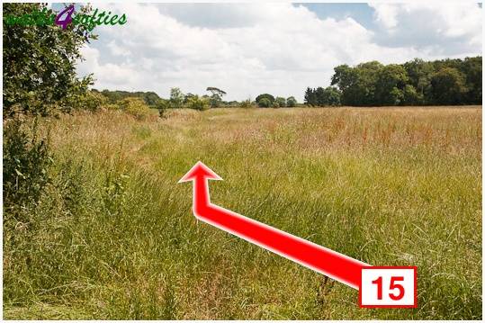 Walking direction photo: 15 for walk The Leep Loop, Lepe Country Park, Hampshire.