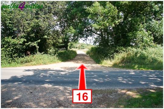 Walk direction photograph: 16 for walk The Leep Loop, Lepe Country Park, Hampshire, South and South East England.