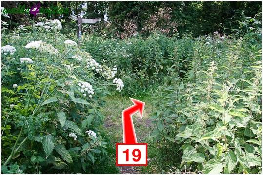 Walking direction photo: 19 for walk The Leep Loop, Lepe Country Park, Hampshire.
