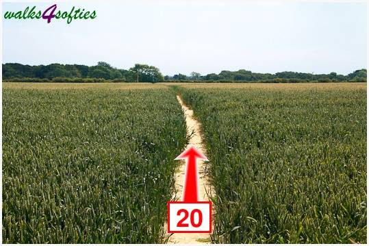 Walk direction photograph: 20 for walk The Leep Loop, Lepe Country Park, Hampshire, South and South East England.