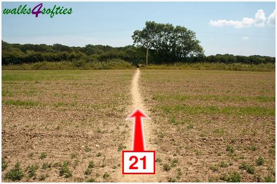 Walking direction photo: 21 for walk The Leep Loop, Lepe Country Park, Hampshire.