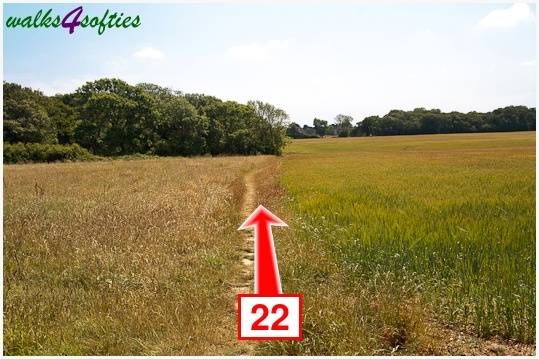 Walk direction photograph: 22 for walk The Leep Loop, Lepe Country Park, Hampshire, South and South East England.