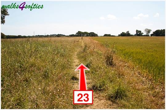 Walking direction photo: 23 for walk The Leep Loop, Lepe Country Park, Hampshire.