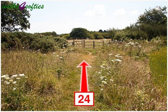 Walk direction photograph: 24 for walk The Leep Loop, Lepe Country Park, Hampshire, South and South East England.