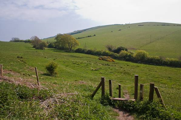 Picture, Photo, View of Studland, Dorset