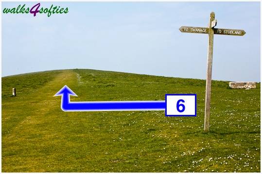 Walk direction photograph: 6 for walk The Obelisk and Agglestone Rock, Studland, Dorset, South West England.