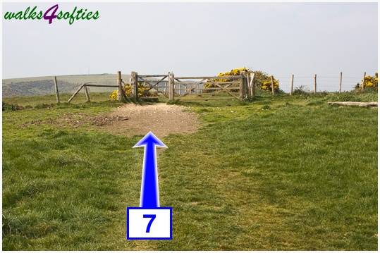 Walking direction photo: 7 for walk The Obelisk and Agglestone Rock, Studland, Dorset.
