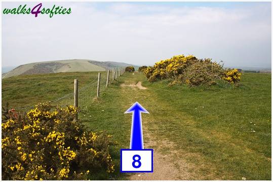 Walk direction photograph: 8 for walk The Obelisk and Agglestone Rock, Studland, Dorset, South West England.